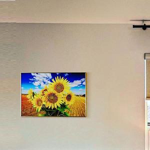 [OFN6MO8O]돈들어오는그림 거실 금전운 해바라기 액자