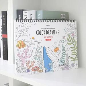 핑크풋 고래 컬러드로잉 쉬운버전 컬러링북/컬러링북/색칠/공부/칠하기/드로잉/그림/놀이/컬러링/미술/컬러