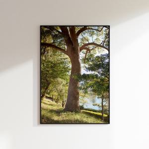 [롯데백화점]올웨이즈파인 올웨이즈파인_인테리어포스터 Our memories (A3포스터 단품)