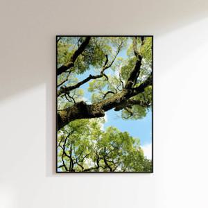 [롯데백화점]올웨이즈파인 올웨이즈파인_인테리어포스터 Spring (A3포스터 단품)