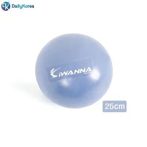 아이워너 미니 짐볼 25cm 라벤더-WFHP6AY