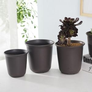 3호 안개꽃화분 상추키우기 블루베리화분 그레이