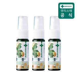 덴티스테 마일드 후레쉬 블라스트 마우스스프레이 15ml 3개