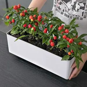 저면관수 화분 베란다 텃밭 상추재배 홈가드닝화분 중형플라스틱화분 거실화분 화분자동급수화분