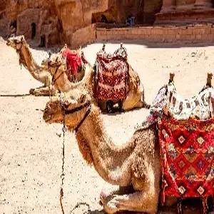 [비즈니스석 탑승] 요르단/이집트 일주 11일 #나일크루즈 탑승 #국내선 2회 탑승 #페트라 관광 #와디럼 캠프 #5성급호텔 4박 UP