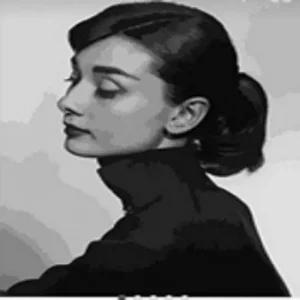 아이윙스 피포페인팅 GX5246오드리햅번 DIY명화그리기 명화 홈갤러리