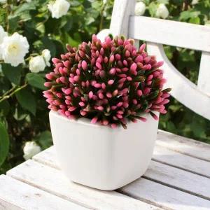 [콩심팥심]다육이 조화 화분 인조꽃 화분장식 인테리어화분 장식화분 조화소품 다육이화분