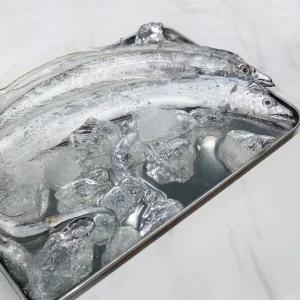 서해안 생물 갈치 3g내외 (13미 내외 3지) 먹갈치 은갈치