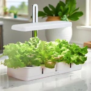 수경 재배기 키트 식물 콩나물 스마트팜 가정용 미니 클린팟 상추 농작물