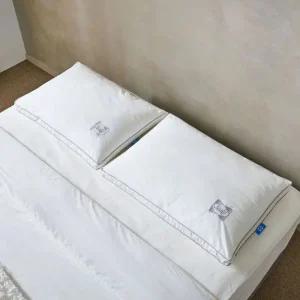 씰리 스탠다드 베개 2P 코스트코