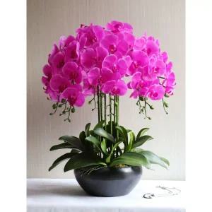 럭셔리 서양란 화분 가짜꽃 호접란 인조 탁상용 블랙 마젠타 사무실 카페