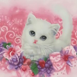 귀요미 (캔버스) 보석십자수 40x40 동물 고양이 캔버스 캔버스형 케이엠엘리 페인팅 비즈십자수