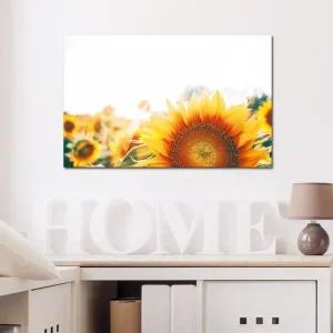 ( 출고옵션 - 25x25cm ) 감성 해바라기 캔버스액자 플 (WF16760)