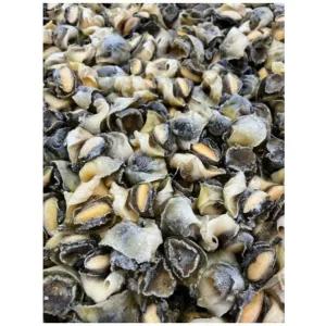 참소라살S 10kg 피뿔고둥살 냉동 소라살 대용량 벌크 (WFKMVRH)