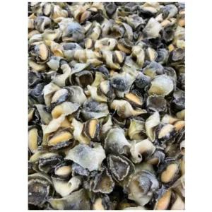 참소라살S 10kg 피뿔고둥살 냉동 소라살 대용량 벌크 (WFKMVRH)