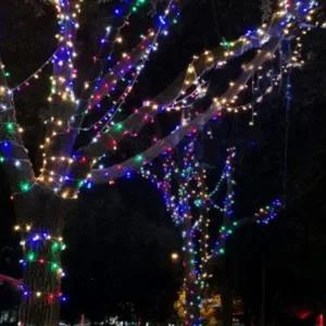 옥외용 장식 전구 크리스마스 방수 은하수 트리 장식 전구 100구 칼라 조명 절전형 다용도 다채색 연결형