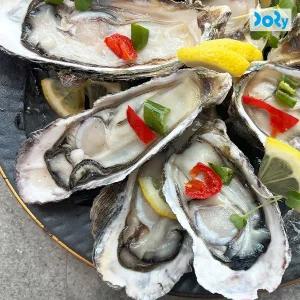 [맛도리] 제철 별미 국내산 하프셀 반각굴 1단 (35미 내외)