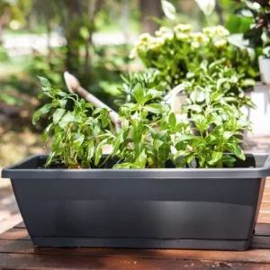 베란다 텃밭 화분 받침대 세트 채소 상추 대파키우기 플라스틱화분 텃밭화분 베란다화분