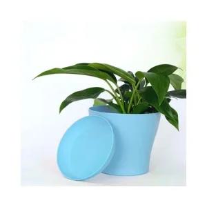 다육이 꽃 화분 다육이화분 다육식물화분 다육미니화분 다육데코 플라스틱화분