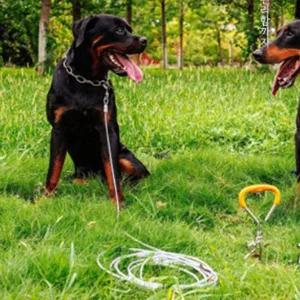 [골드스마일]대형견 와이어 리드줄 강아지 튼튼한 산책줄 목줄 5M 대형견목줄