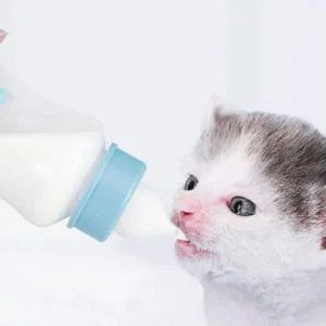 [골드스마일]새끼 강아지 애기 고양이 우유병 젖병 세트 150ml 새끼동물 동물젖병