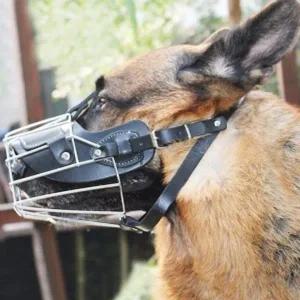 [골드스마일]펫 가드 스틸 강아지 입마개 xl 대형견 짖음방지