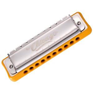 [미국배송] 성인용 전문 초보자를 위한 하모니카 JDR 블루스 키 오브 C 10 HOLE 20 톤 하프 아르모니카 케이스 시카고 포함 미니 마우스 오르간