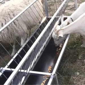 철제 스테인리스 염소 먹이통 축사 밥통 곡물 사료통 여물통