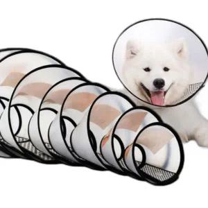 [골드스마일]넥카라 강아지 고양이 애견 깔대기 보호대 중성화 2호