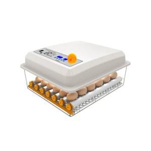 조류 달걀 자동부화기 220V 36구 병아리부화기 8구 축산 달걀부화기 최신형 48구