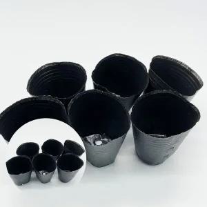 [골드스마일]다육이 모종 화분 8호 소형 고추 식물 다육식물 재배기 8x8