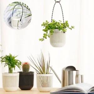 이노마타 행잉 미니 화분 일본 행잉화분 인테리어화분 벽걸이화분 행잉바스켓