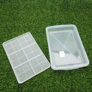 새싹 재배 트레이 셋트 32x22cm 투명 재배 32x22 투명 장식