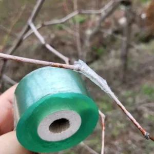 나무가지 투명 고정테이프 혁신적인 깔끔하고편리 농자재 농작물 농사용 고추끈 지주대