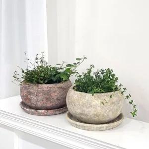 베트남 빈티지 컬러 토분 화분 분재 21x13cm 베트남 빈티지 컬러 토분 분재 21x13