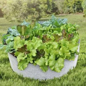 초록가든 베란다 텃밭 부직포 화분 상추 대파키우기