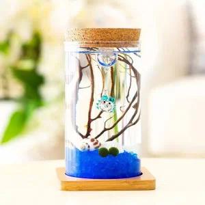 [골드스마일]마리모 키우기 LED 유리병 테라리움 코르크병