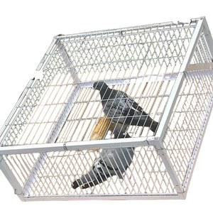 잡기 유해조류 꿩덫 과수원 퇴치망 보호 케이지 철제 비둘기 조류포획망 너비30 유해동물