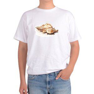 길단 아시아핏 반팔티 소라껍데기 바다의 추억 소라 참소라 바닷가그림 다양한색상 전사이즈