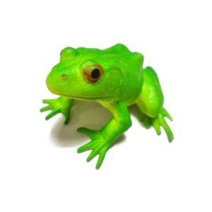 1개 개구리 모형 TPR 피규어 파충류 자연 학습용 동물 완구