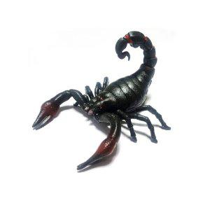 1개 모형 전갈 학습완구 자연 동물 과학 교육 완구