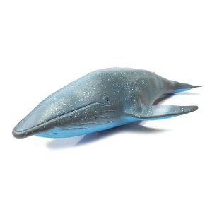교육용 해양동물 고래 모형 중형 피규어 완구 세트