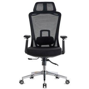 RBCH02 엑시플렉스 대 메쉬 조절팔 사무실 사무용의자