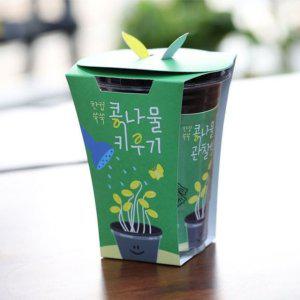 시루 간편한새싹키우기 한컵쑥쑥 관찰일지 콩나물재배세트