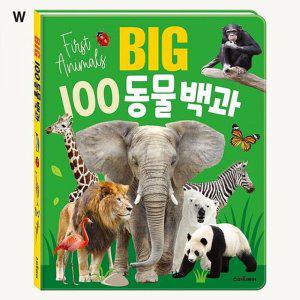 BIG 100 동물 백과