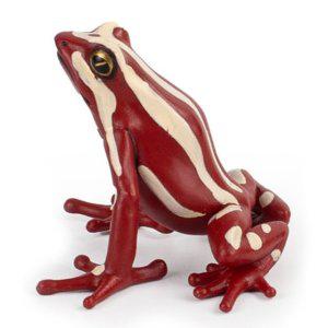 동물모형 독화살 개구리 50315 동물 모형 완구