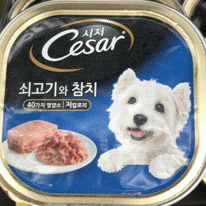 반려견 시저 Cesar 쇠고기와 사료 참치 100g 애견 강