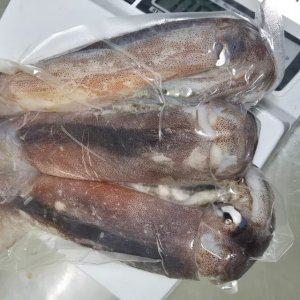 급냉 오징어 3마리 1팩