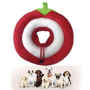 애완견넥카라 넥쿠션 플라스틱 보호넥 딸기 넥카라 L