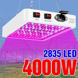 최신 4000/5000W 전체 스펙트럼 LED 성장 빛 IP65 식물 전구 수경 램프 온실 램프 꽃 성장 조명 상자